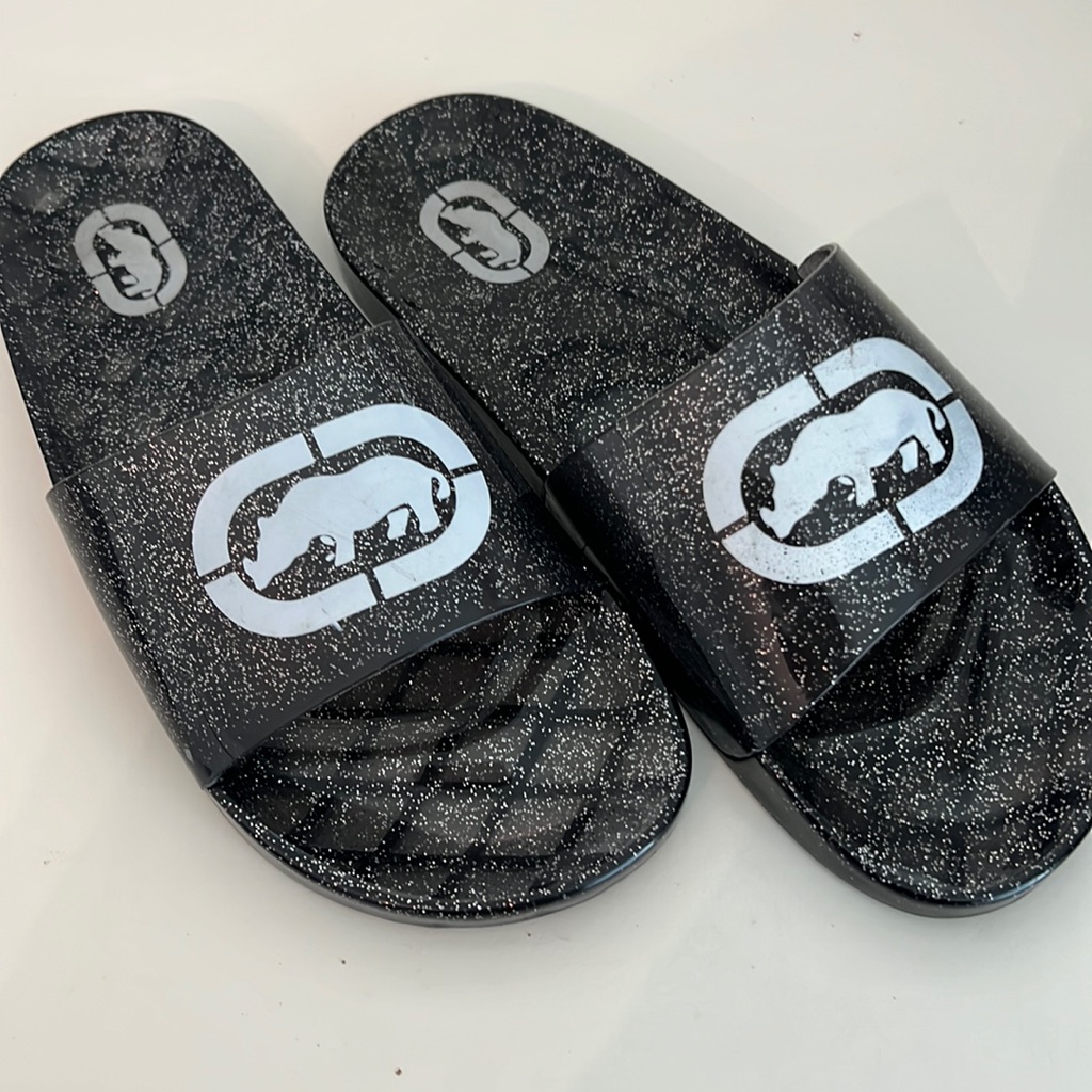 Echo Slides Mc